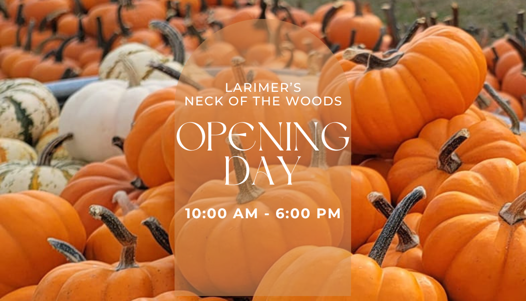 Pumpkin Patch Opening Day
