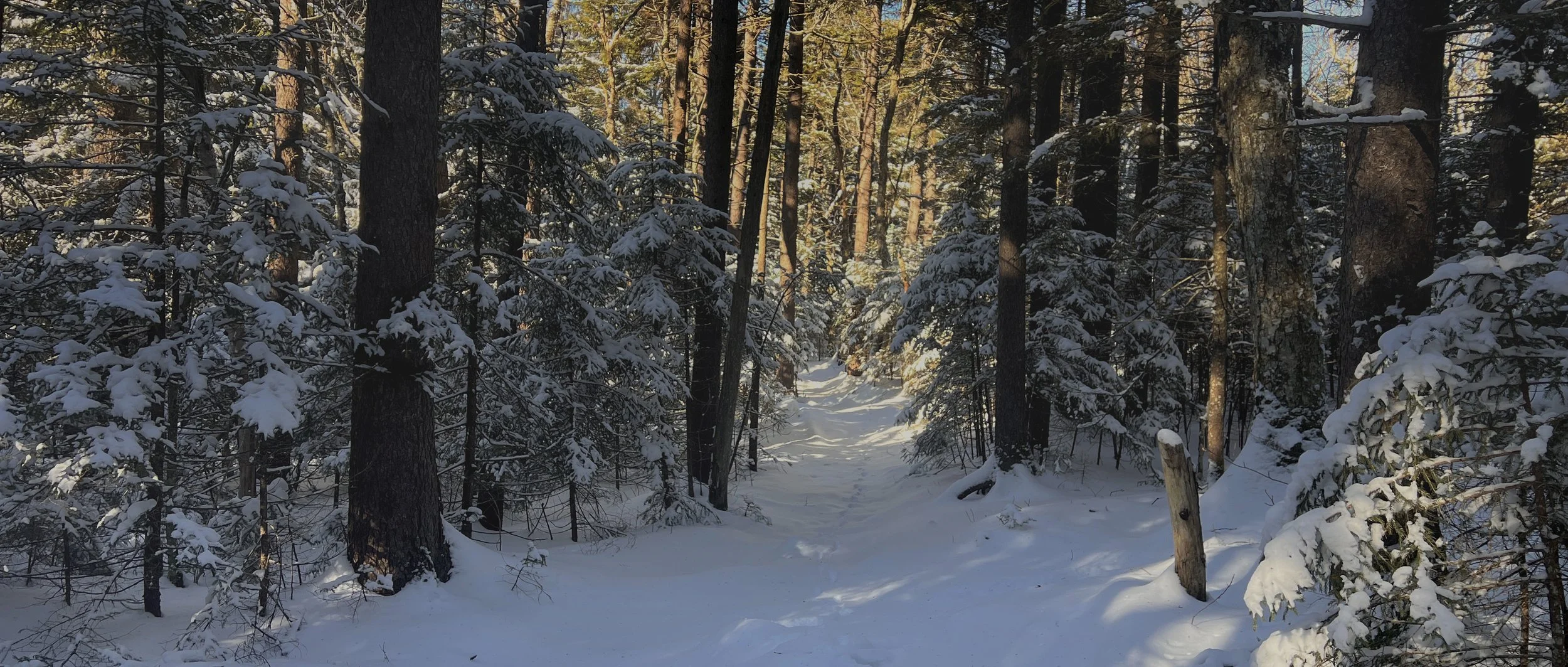 W2/GC-064 - Stoopel Point 