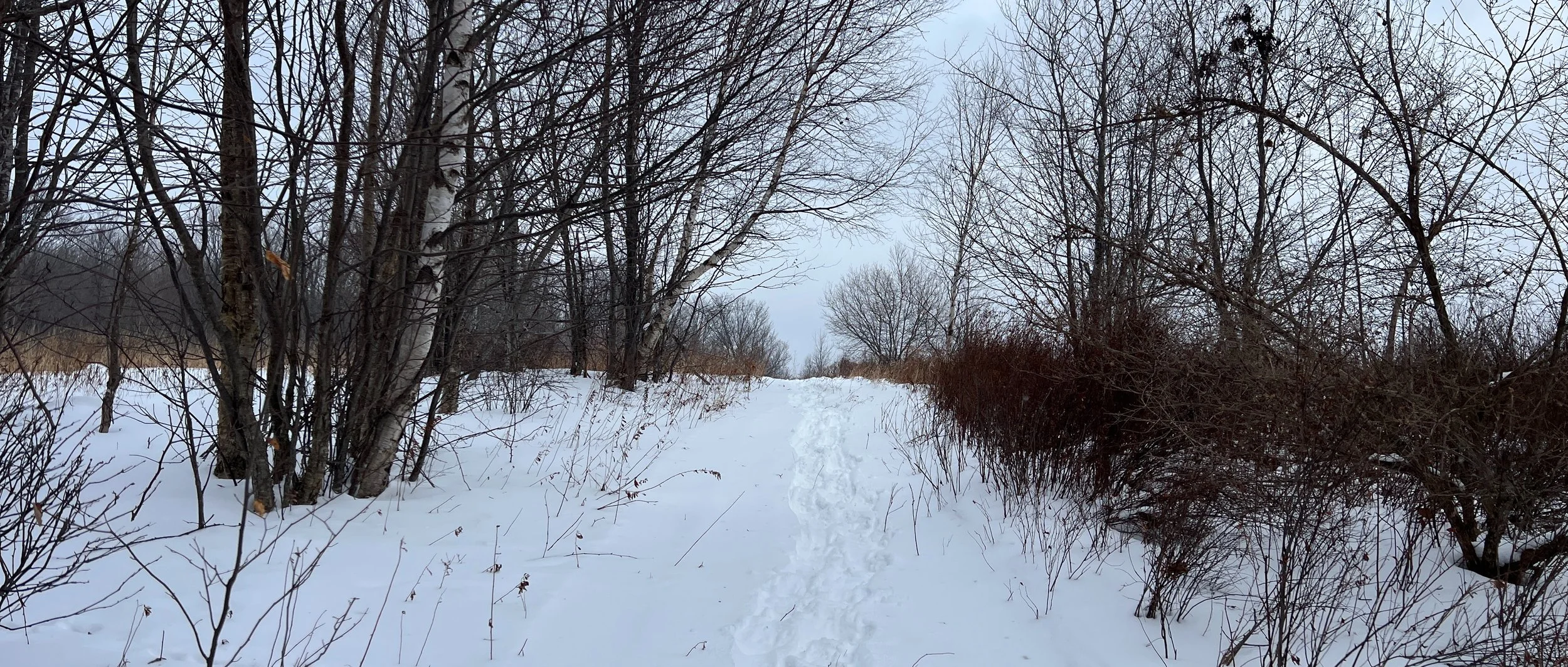 W2/GC-014 - Cave Mountain