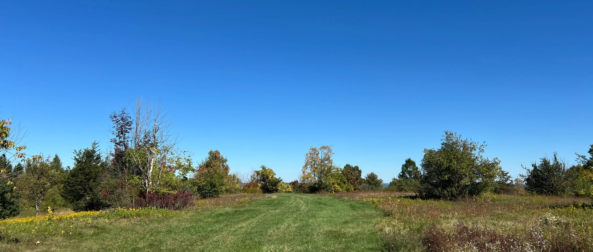W2/WE-098 and US-5098 - Bare Hill Unique Area