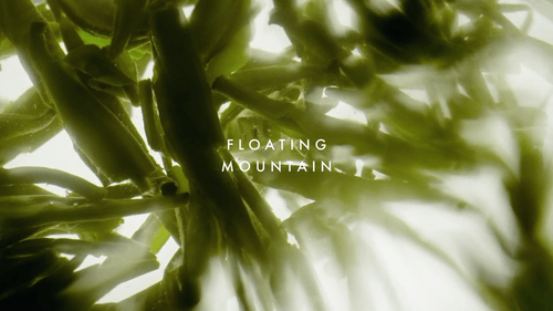 Floating Mountain 0:30 (Director | Cursive Films)