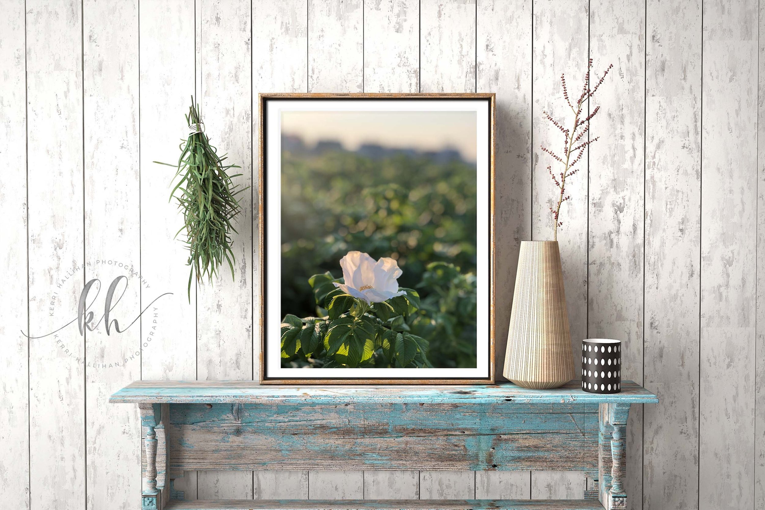 https://i.etsystatic.com/6148094/r/il/8ef4a1/3547018321/il_fullxfull.3547018321_cfbl.jpg