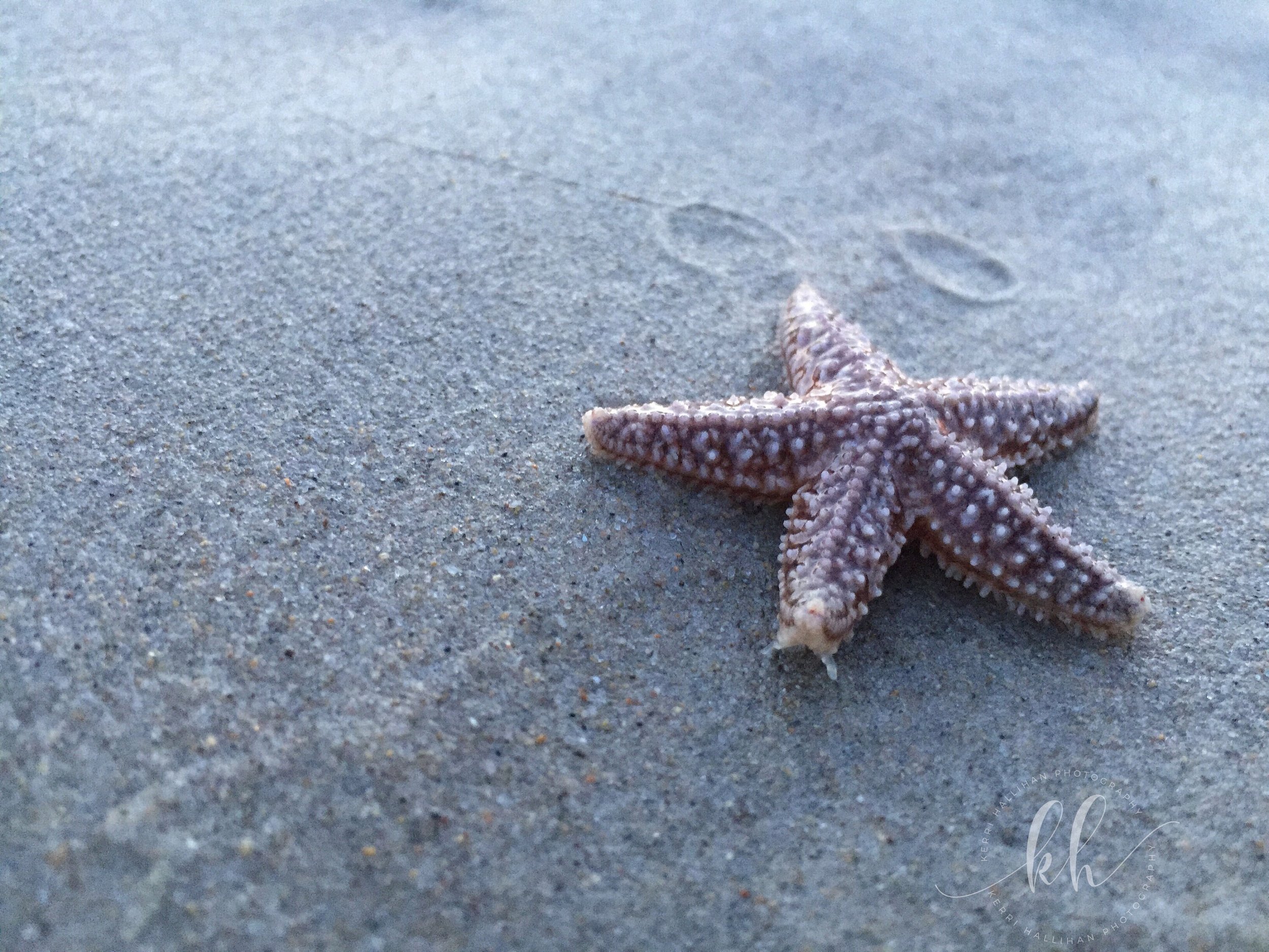 https://i.etsystatic.com/6148094/r/il/bcad55/1595197614/il_fullxfull.1595197614_r63q.jpg