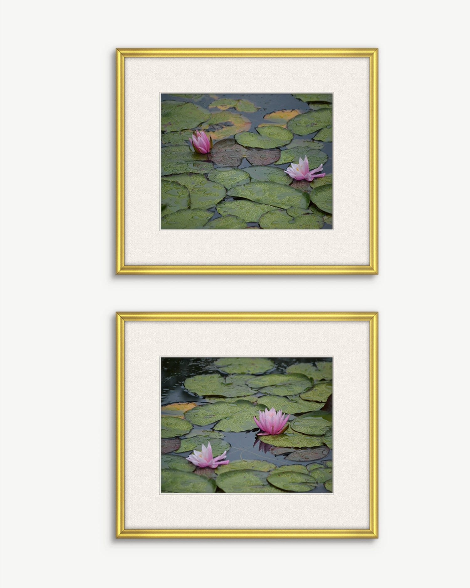 https://i.etsystatic.com/6148094/r/il/889a75/1926056311/il_fullxfull.1926056311_9py8.jpg