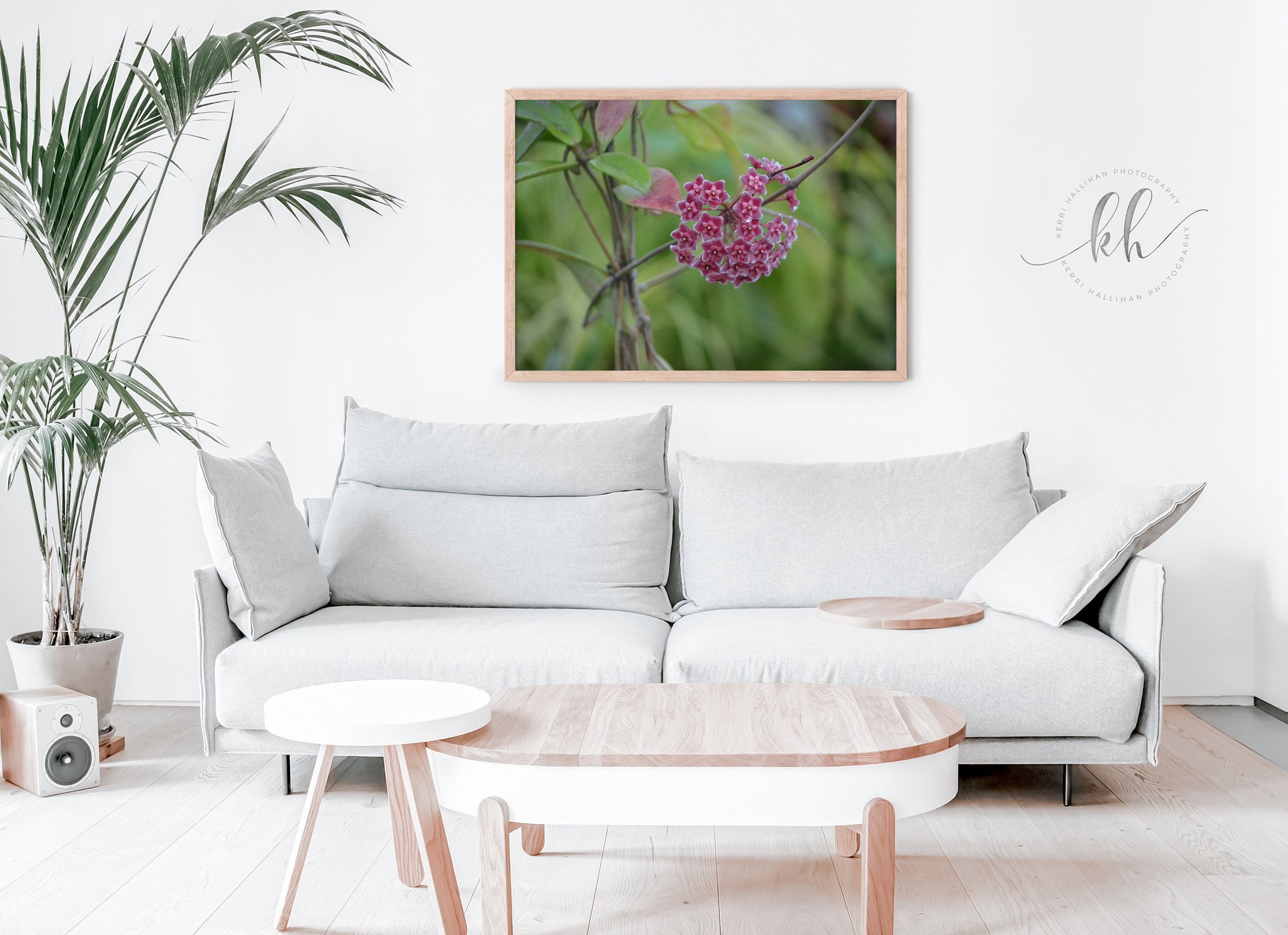 https://i.etsystatic.com/6148094/r/il/c99c18/5787781854/il_fullxfull.5787781854_g2bp.jpg