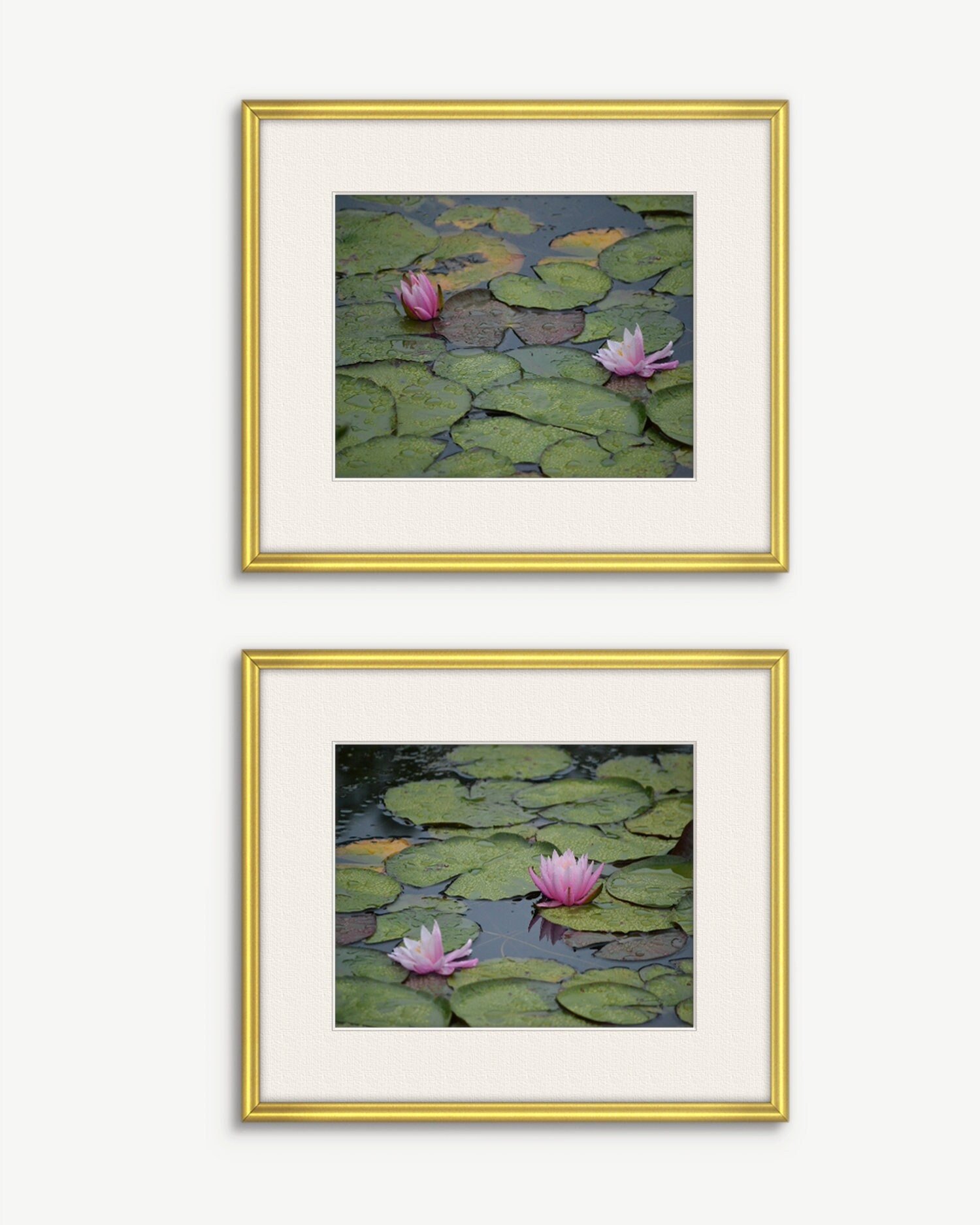 https://i.etsystatic.com/6148094/r/il/d495d9/5376223411/il_fullxfull.5376223411_9py8.jpg