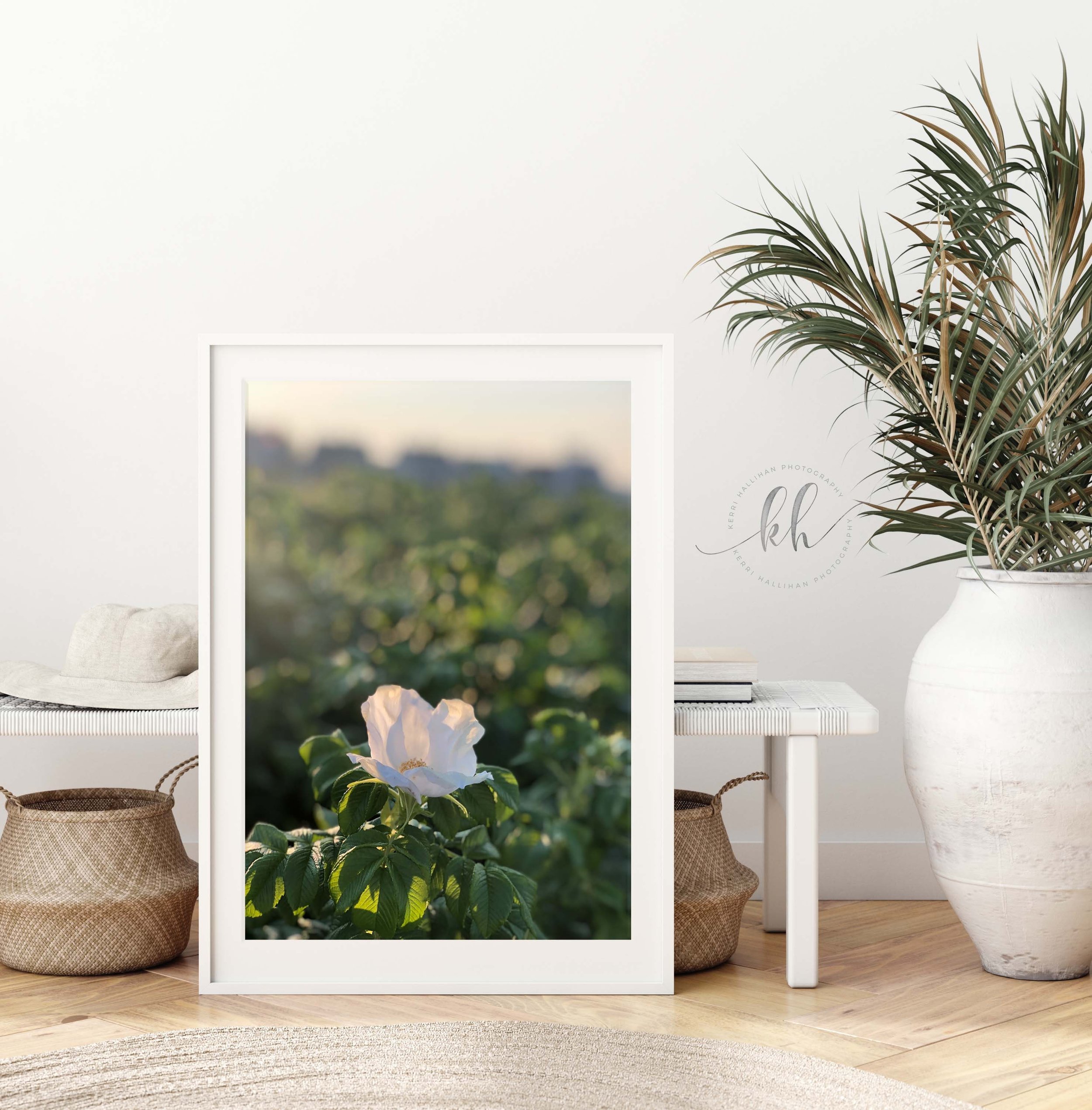 https://i.etsystatic.com/6148094/r/il/153864/3547018319/il_fullxfull.3547018319_2f48.jpg