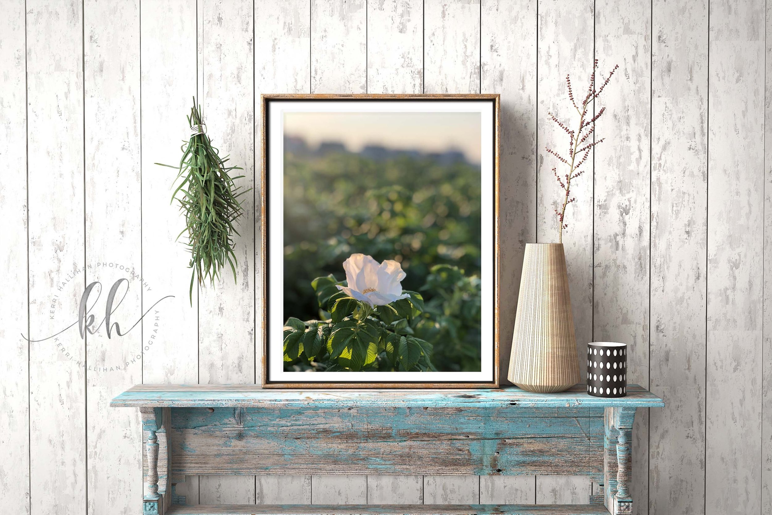 https://i.etsystatic.com/6148094/r/il/8ef4a1/3547018321/il_fullxfull.3547018321_cfbl.jpg