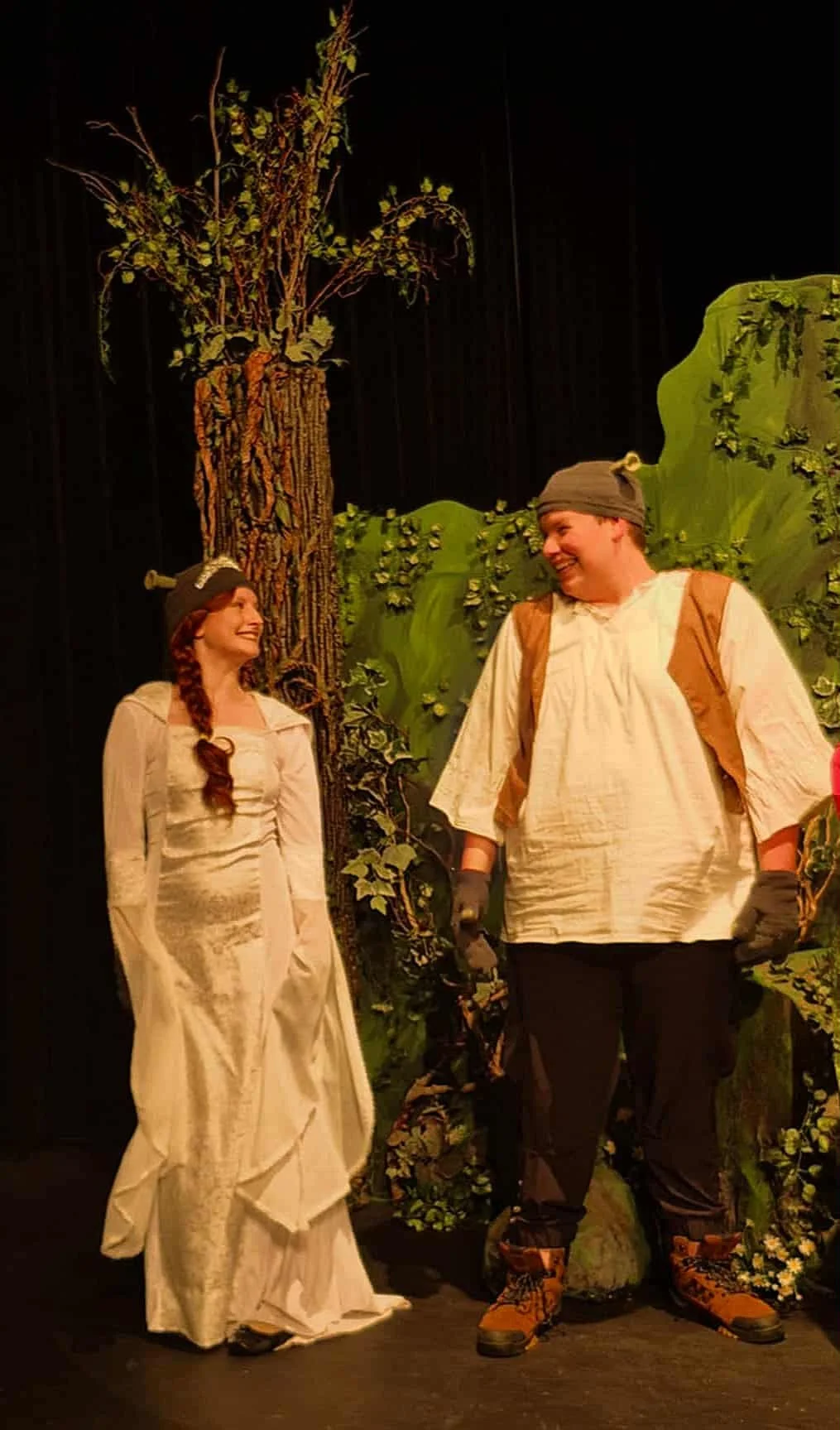 shrek and fiona.jfif