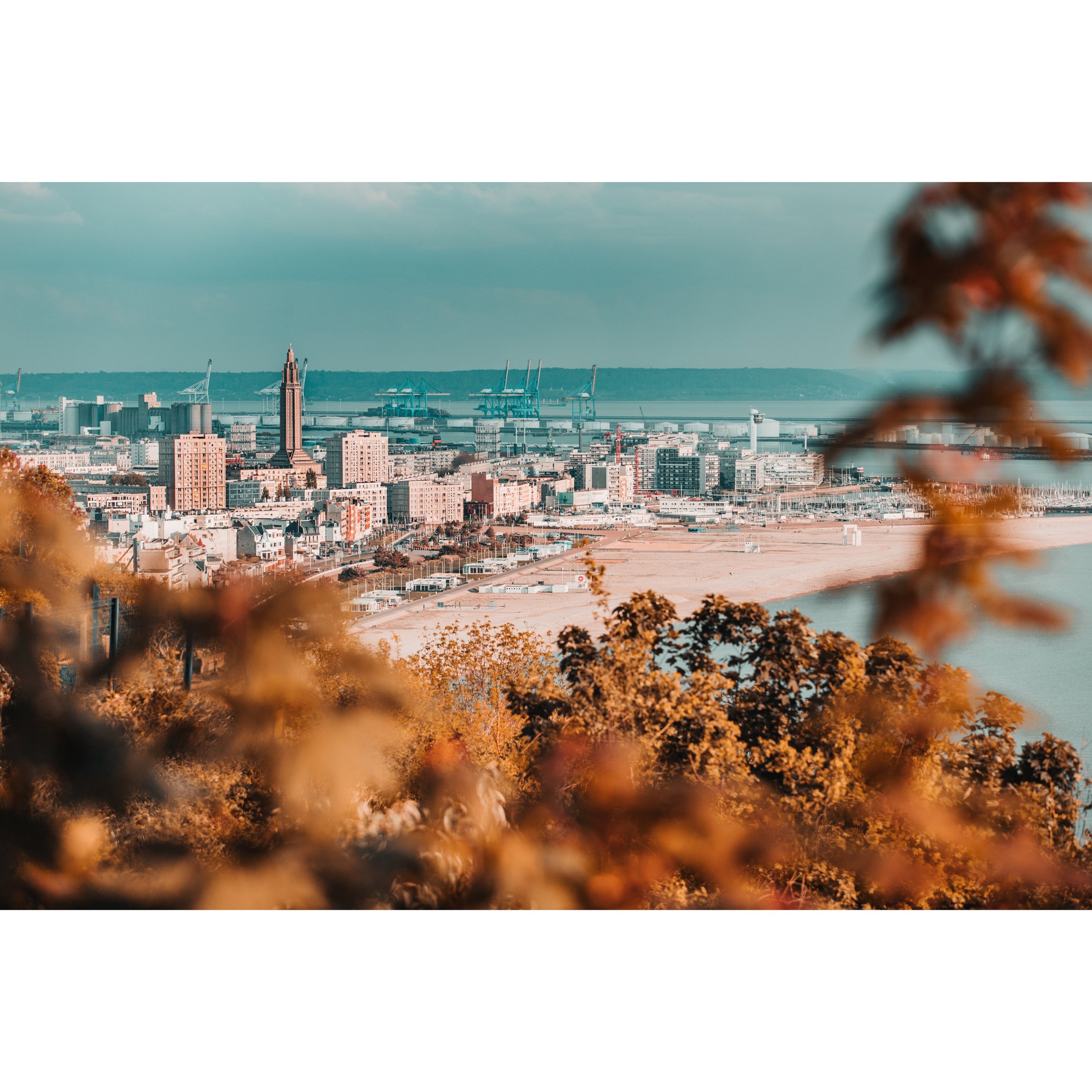 71D412CF-B84F-4707-91ED-782820032AD5.jpeg