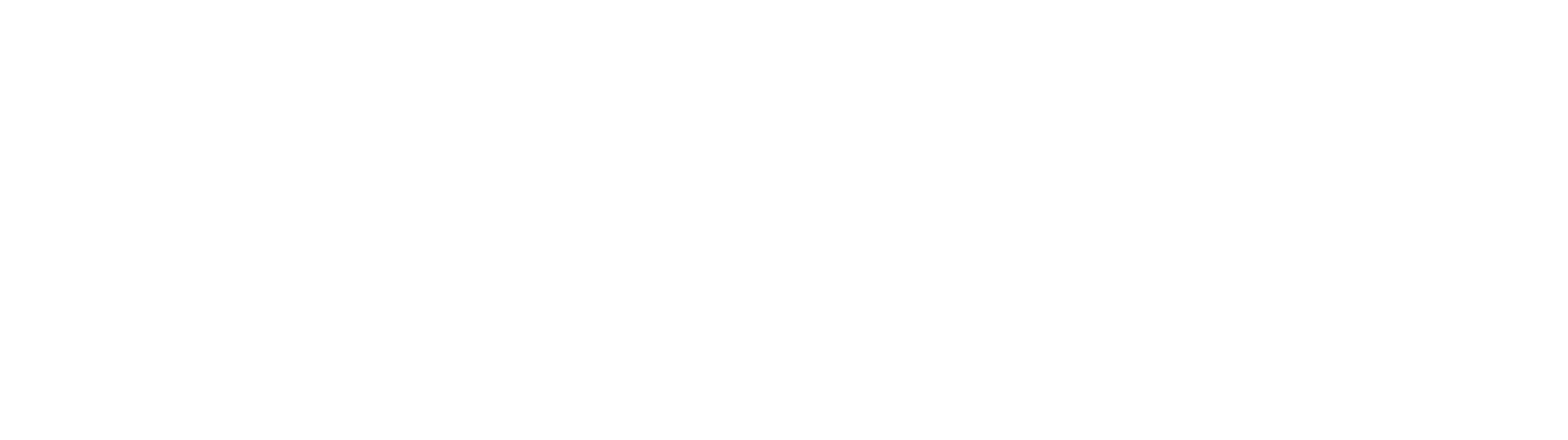 Vickie Schrock Coaching 