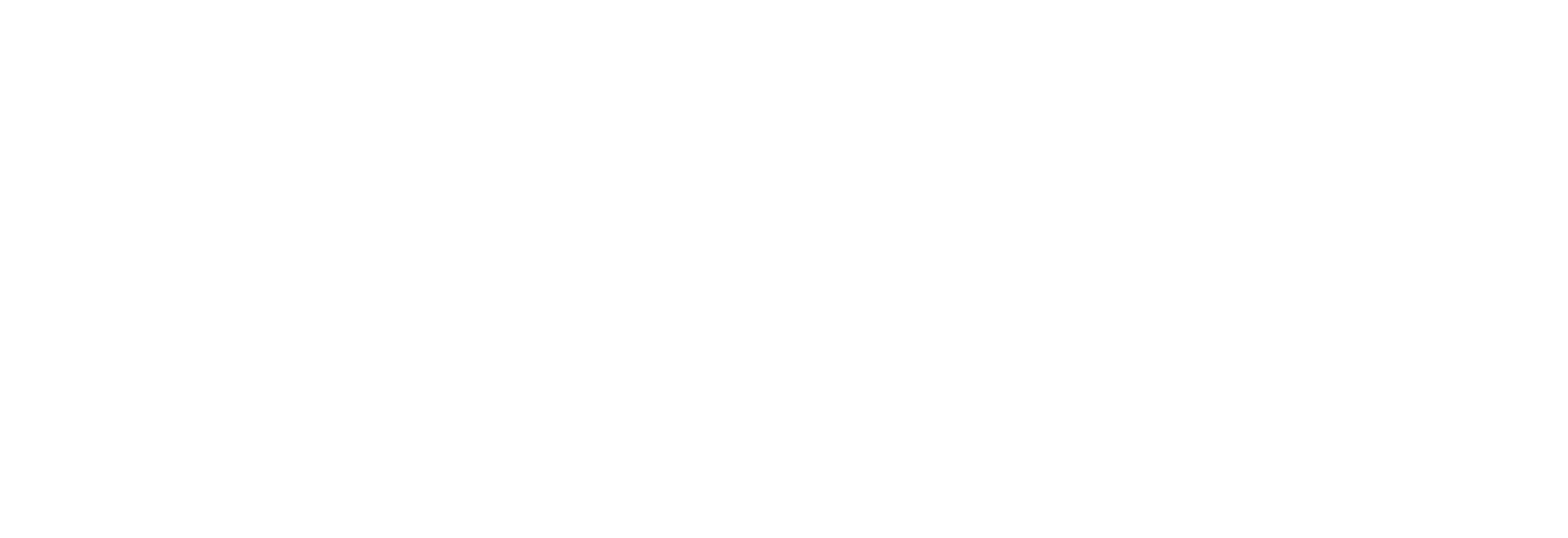 Vickie Schrock Coaching 