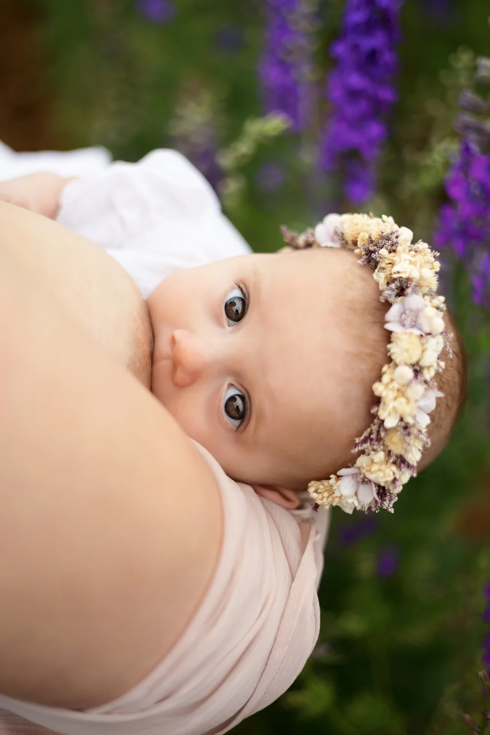 Bébé couronné de fleurs regardant l’objectif, parmi des fleurs violettes.