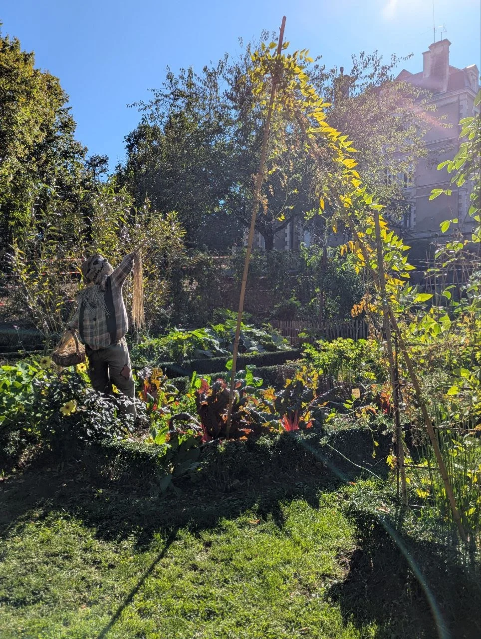 photo_2025-10-16 14.53.26.jpeg