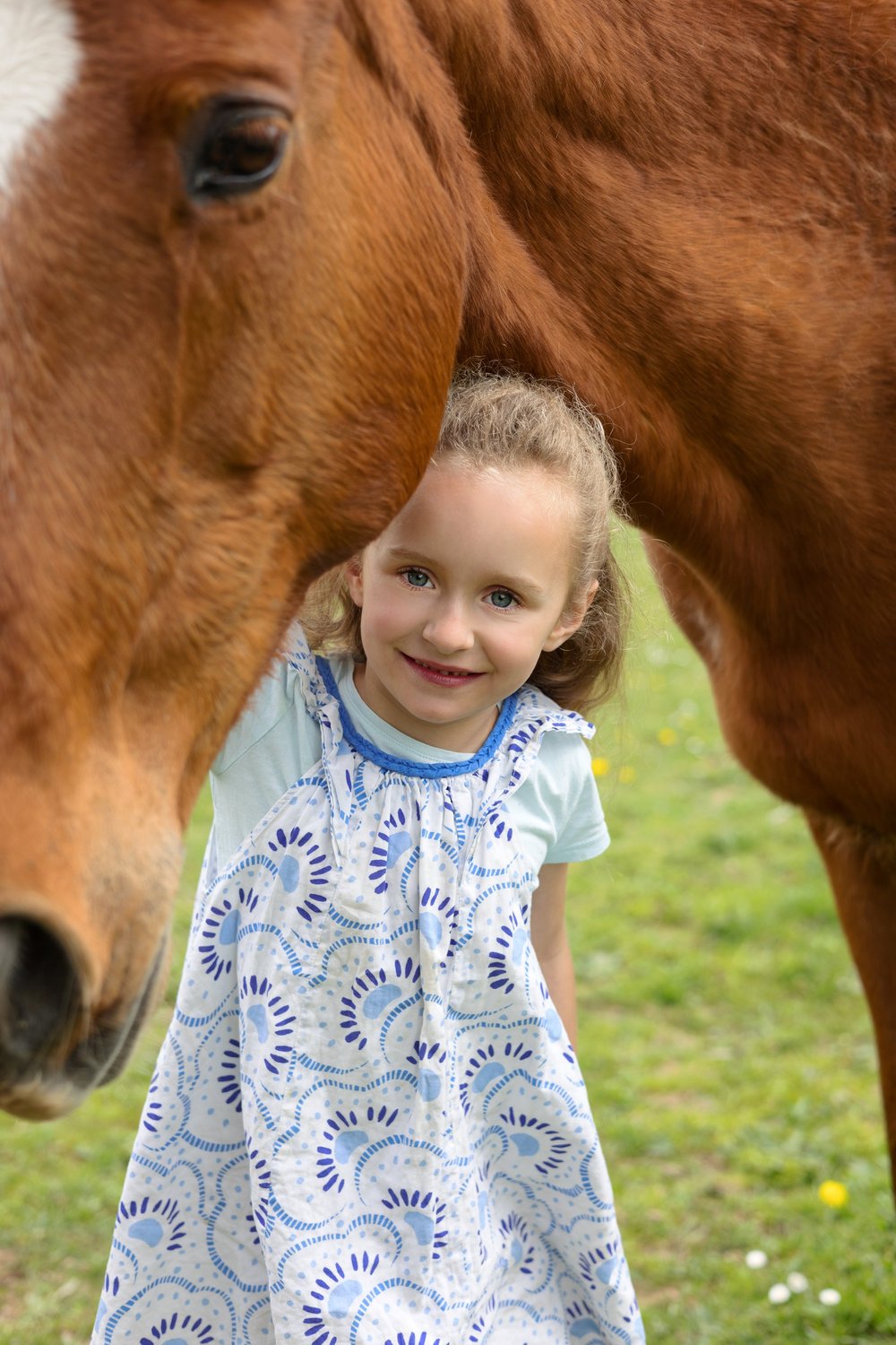 Petite fille en robe bleue devant un cheval.