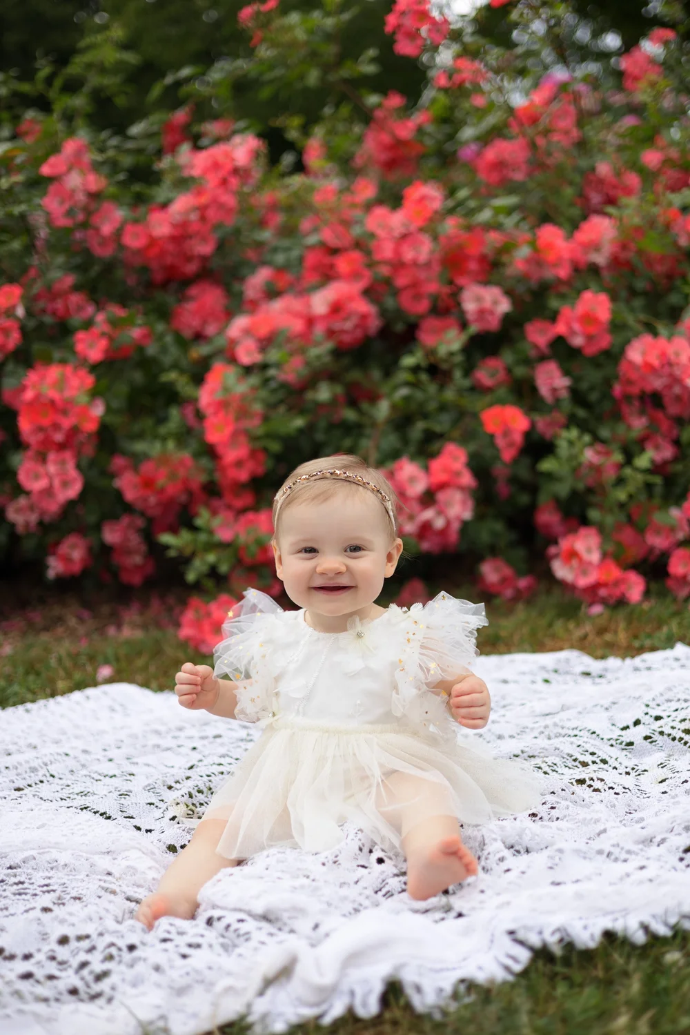 Bébé en robe blanche assise devant un massif de roses rouges.
