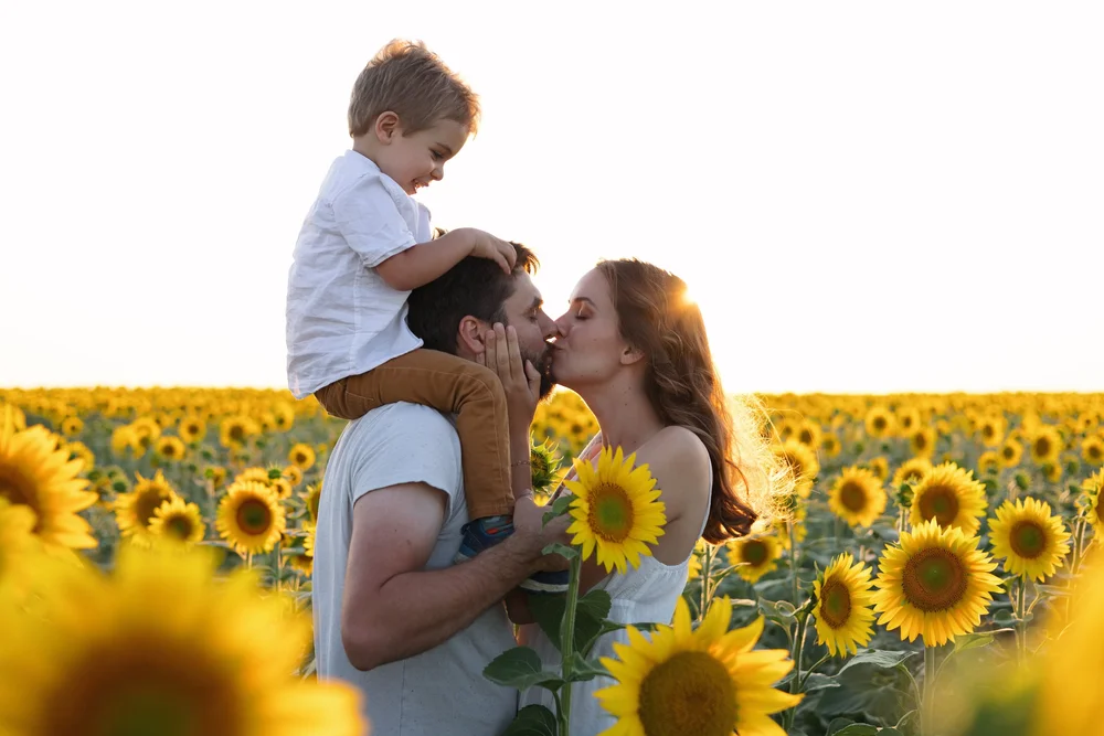 Parents s’embrassant dans un champ de tournesols, l’enfant sur les épaules.