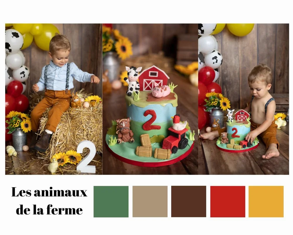 Planche du thème « Les animaux de la ferme » : décor de ferme, ballons rouges et jaunes, gâteau et chiffre 2.