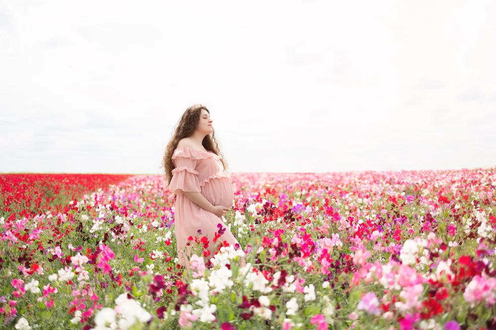 femme enceinte champ de fleurs roses