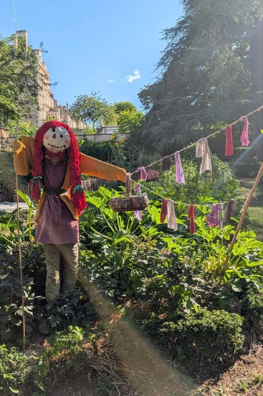 Jardin des plantes (serre exotique fermée le samedi) — lieu de séance photo en extérieur près de Poitiers (3)
