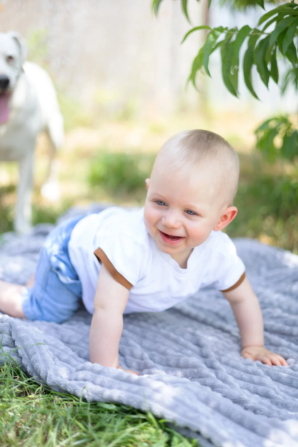 Bébé à quatre pattes sur une couverture dans l’herbe.