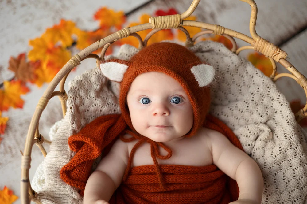 Bébé en bonnet de renard dans un panier, feuilles d’automne.