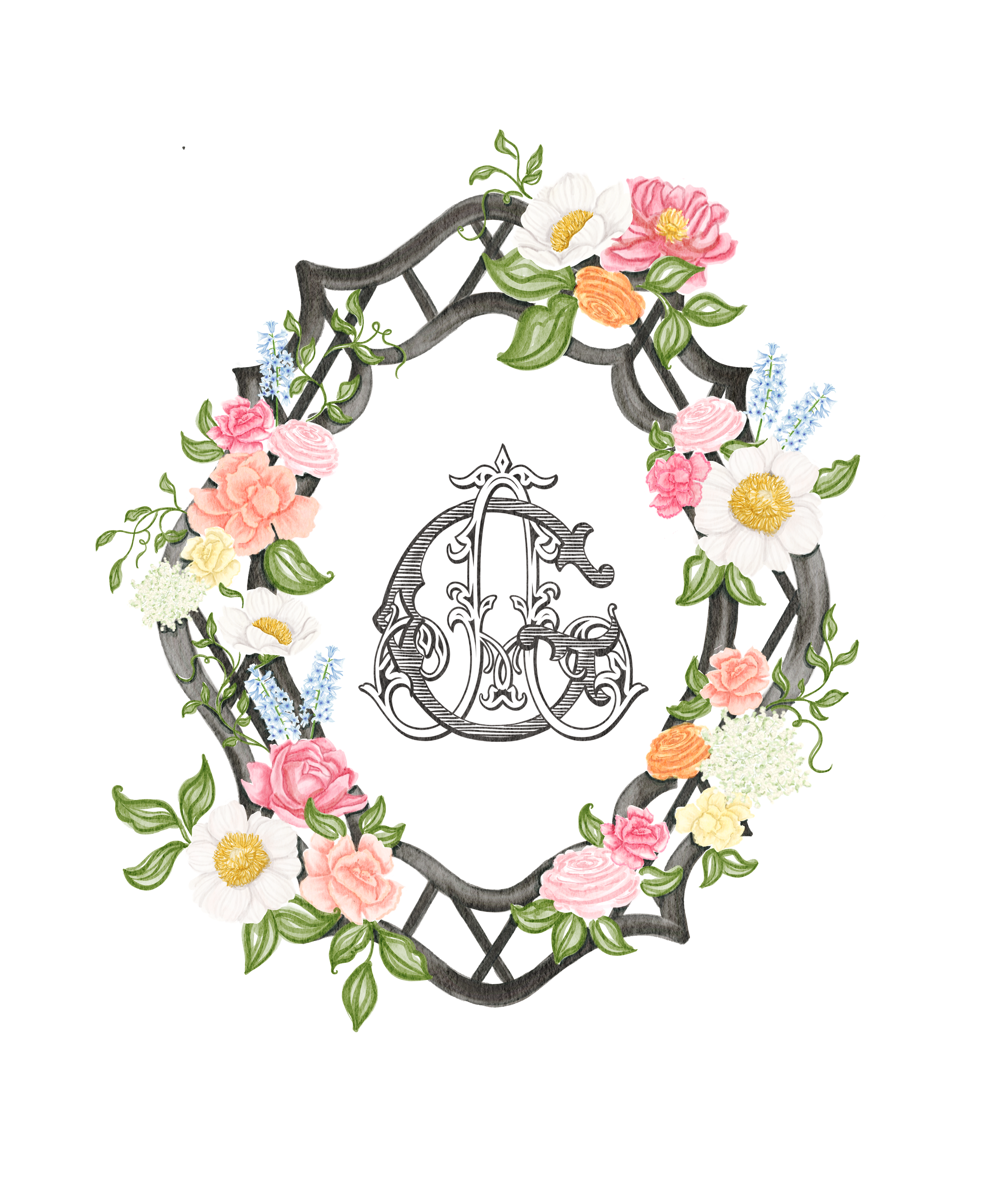 IMG_7449.PNG
