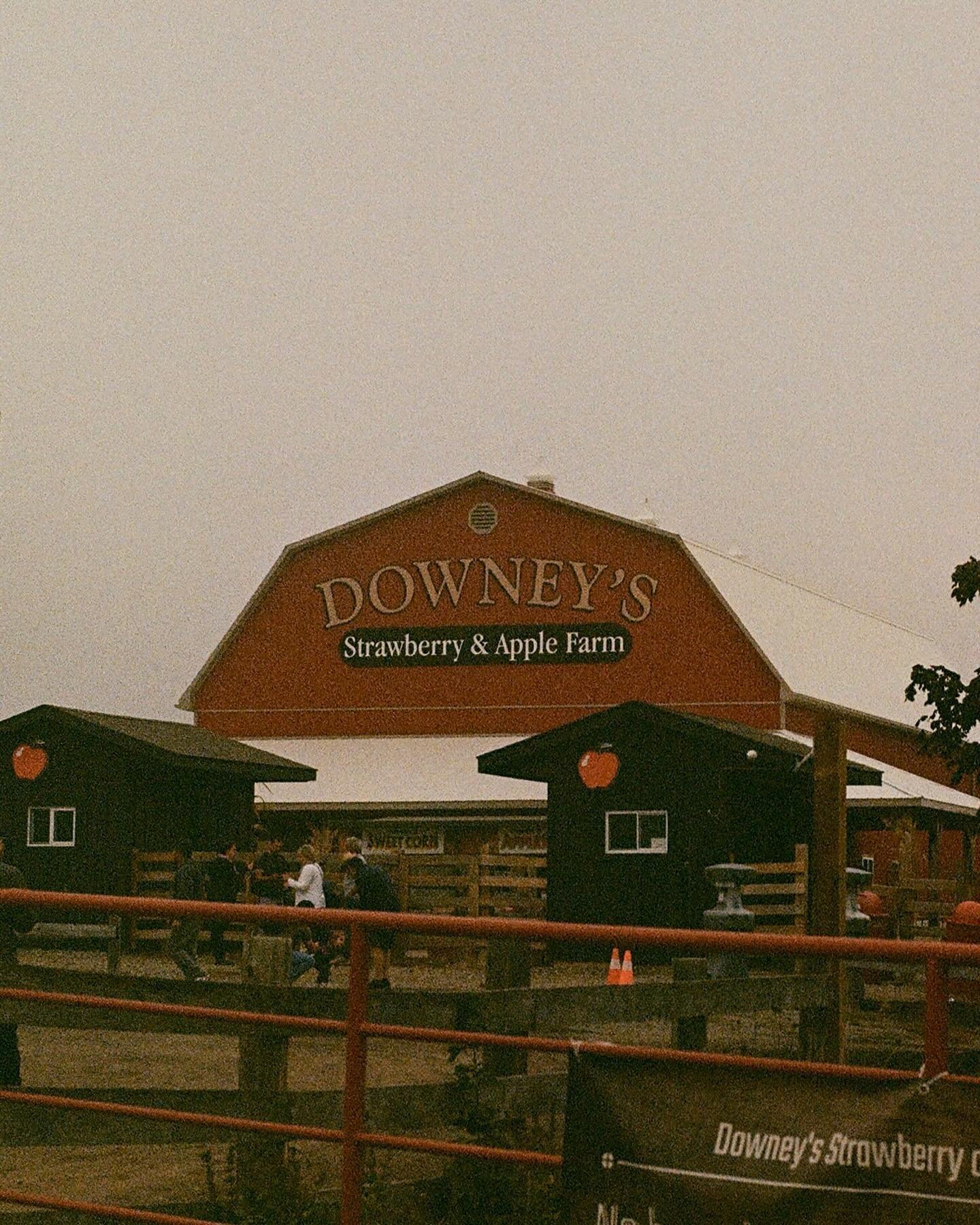 Some more shots from Downey&rsquo;s Farm 🎞️