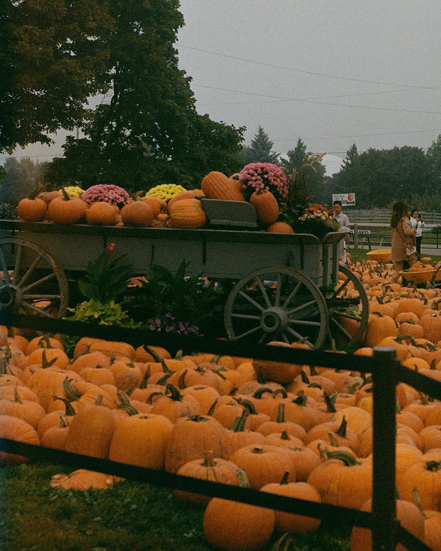 Happy October 1st 🎞️