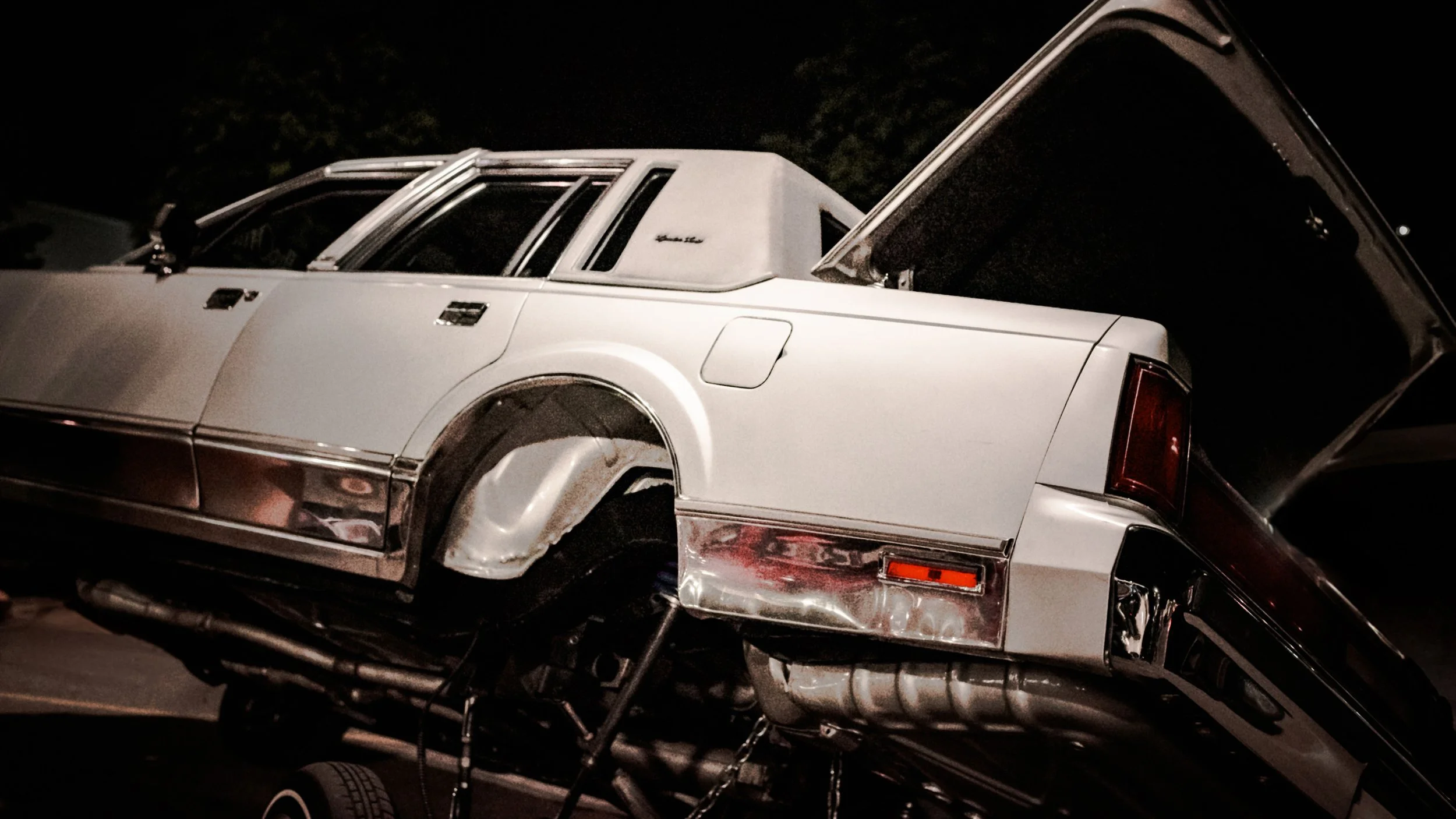 DSC_3917.jpg