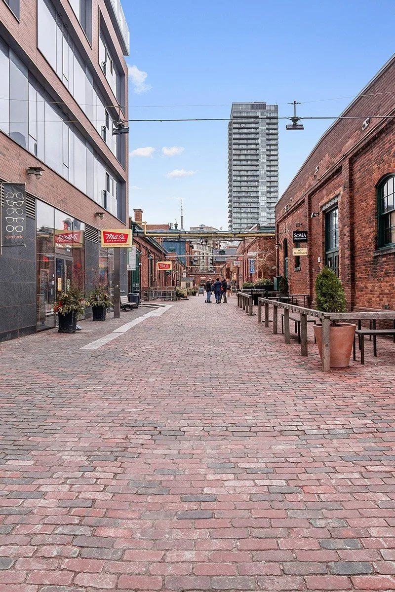 Neighbourhood Highlight: Canary Park