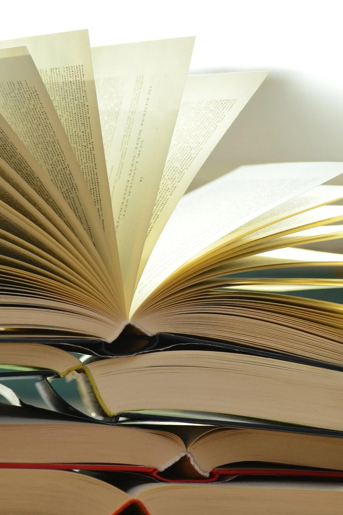 Real Estate Terms You Should Know