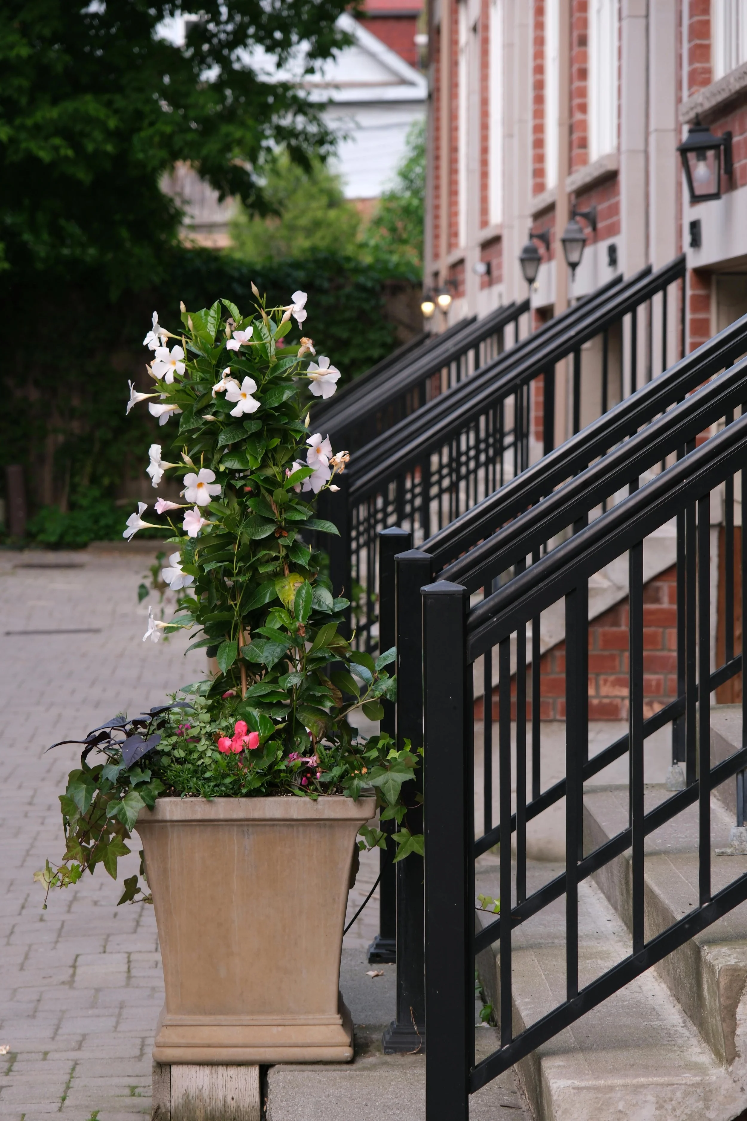 Thinking of Selling Your Home in Ontario? Here’s What You Need to Know