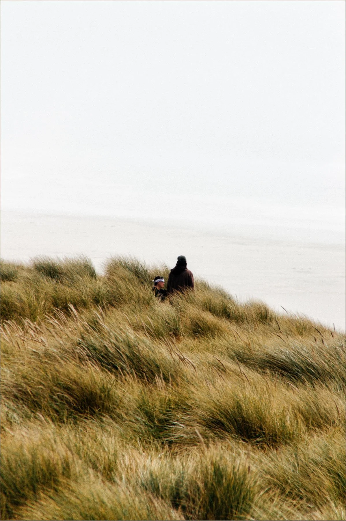 Interbeing-Website-Template_State-of-Sage_Tall Overlap Highlight1.jpg