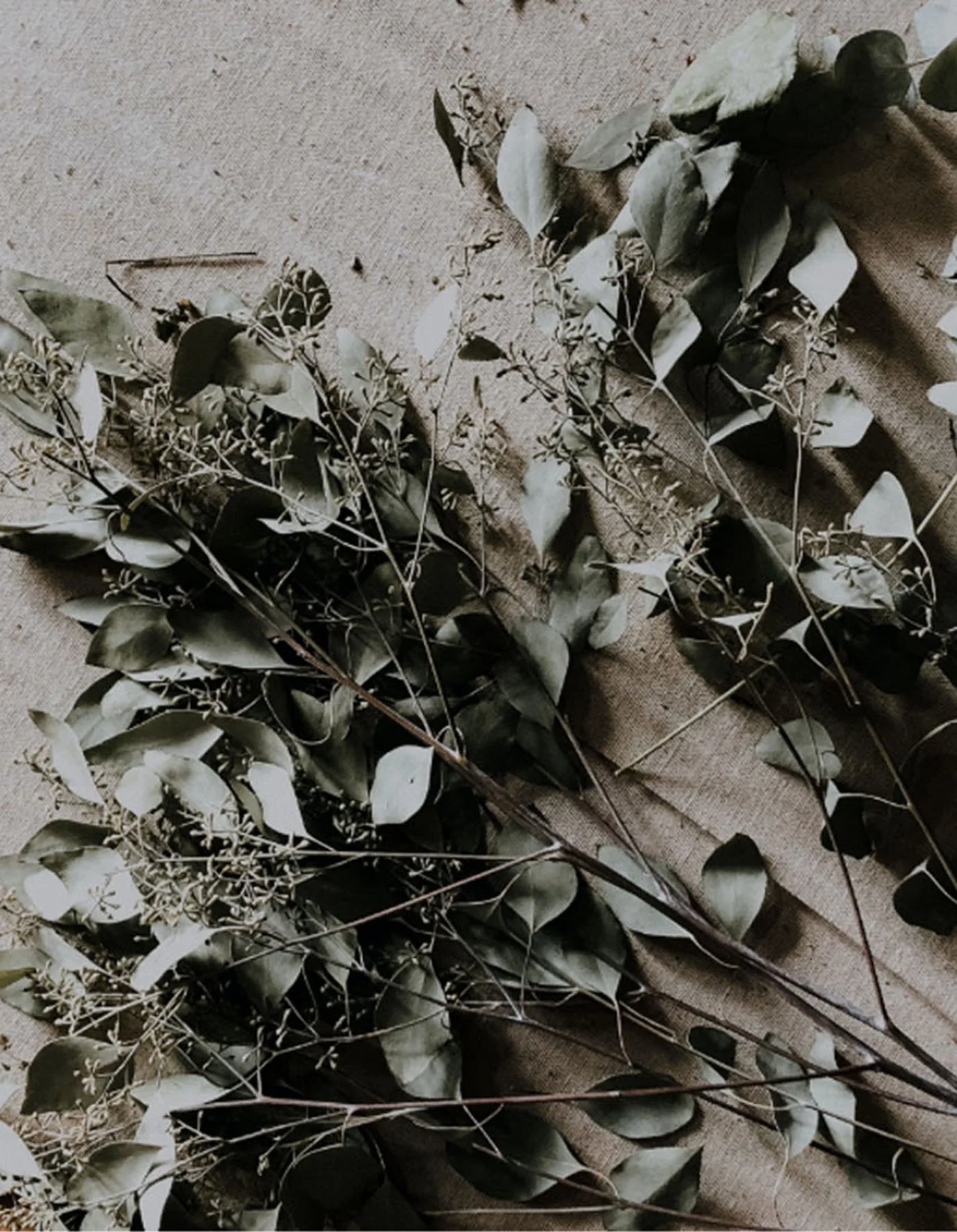 Interbeing-Website-Template_State-of-Sage_Three Photo Highlight3.jpg