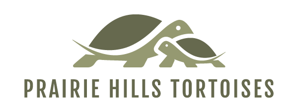 Prairie Hills Tortoises