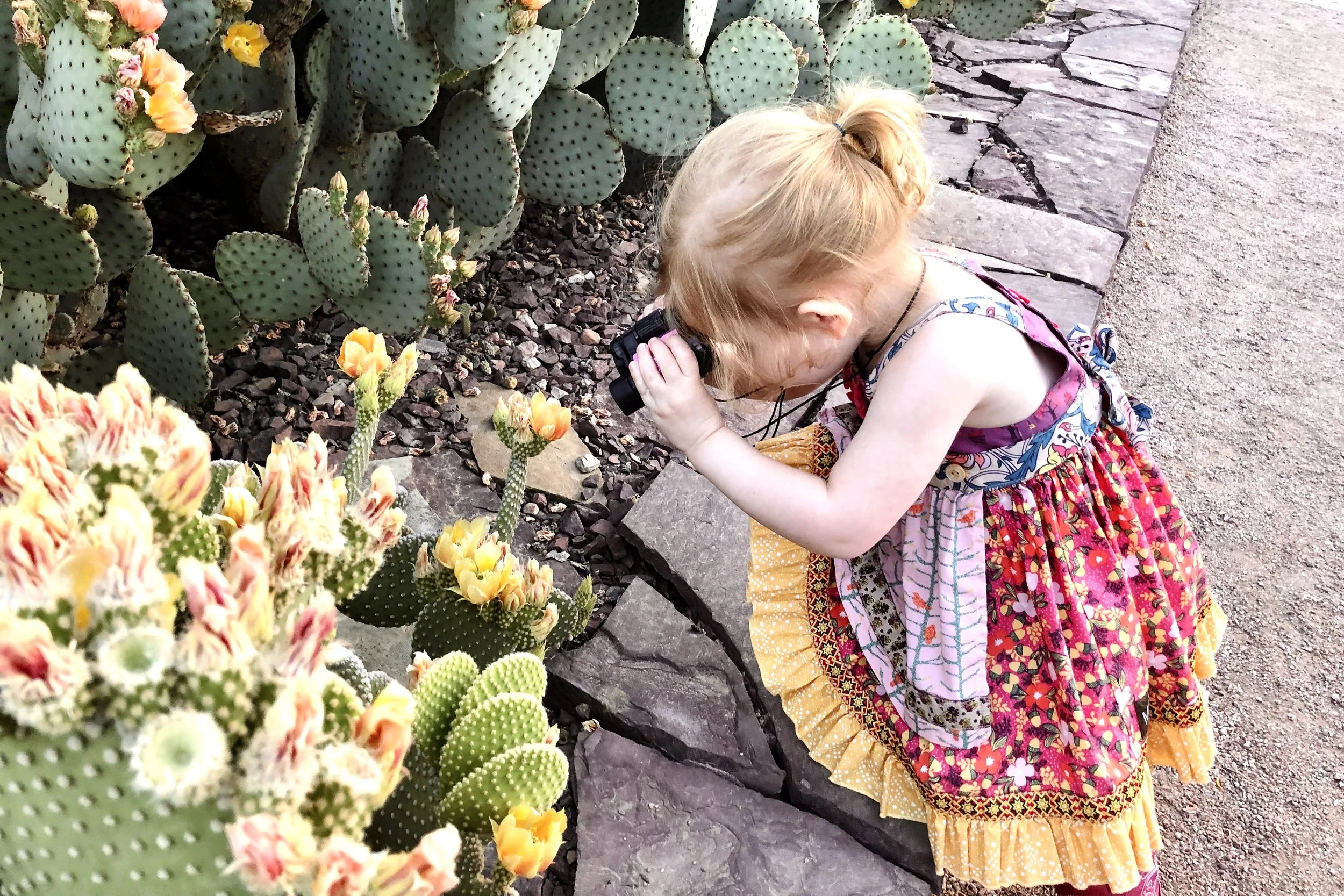 best phoenix family photographer yellow room photography-9.jpg