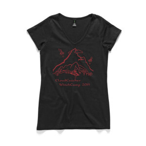 cc19_design_vneck_example.jpg