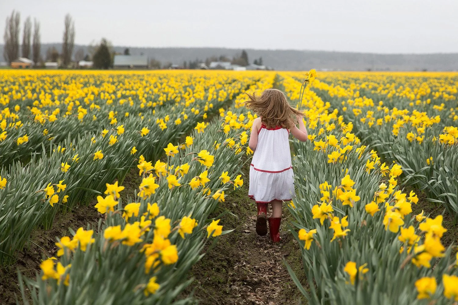 seattle-greenlake-studio-outdoor-photographer-family-children-photography-alyssa-rose-photography429.jpg
