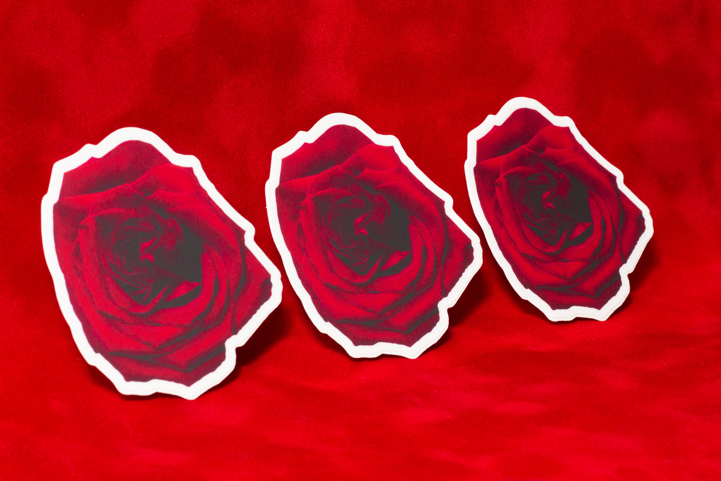 Asad Badat Red Rose Stickers.jpg
