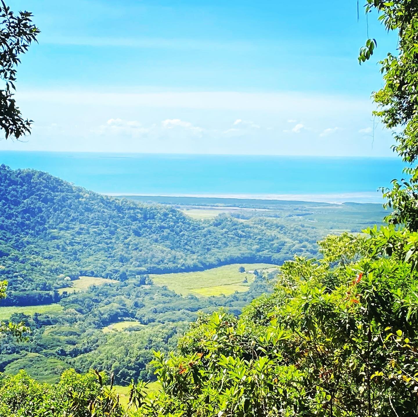 #visitqueensland #visitportdouglas #trailrunning @cairnsportdouglastrailultra