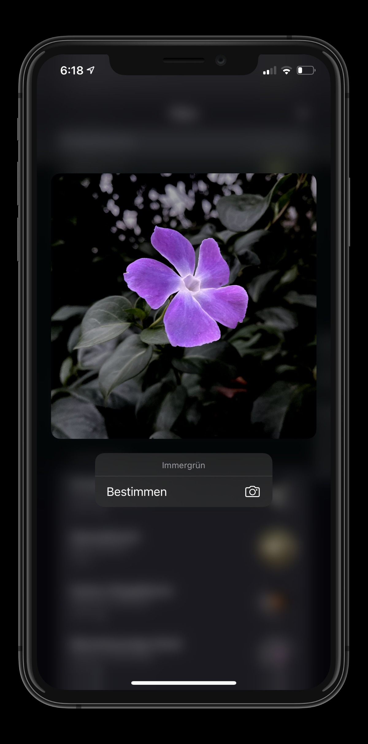 Detaillierte Ansicht
