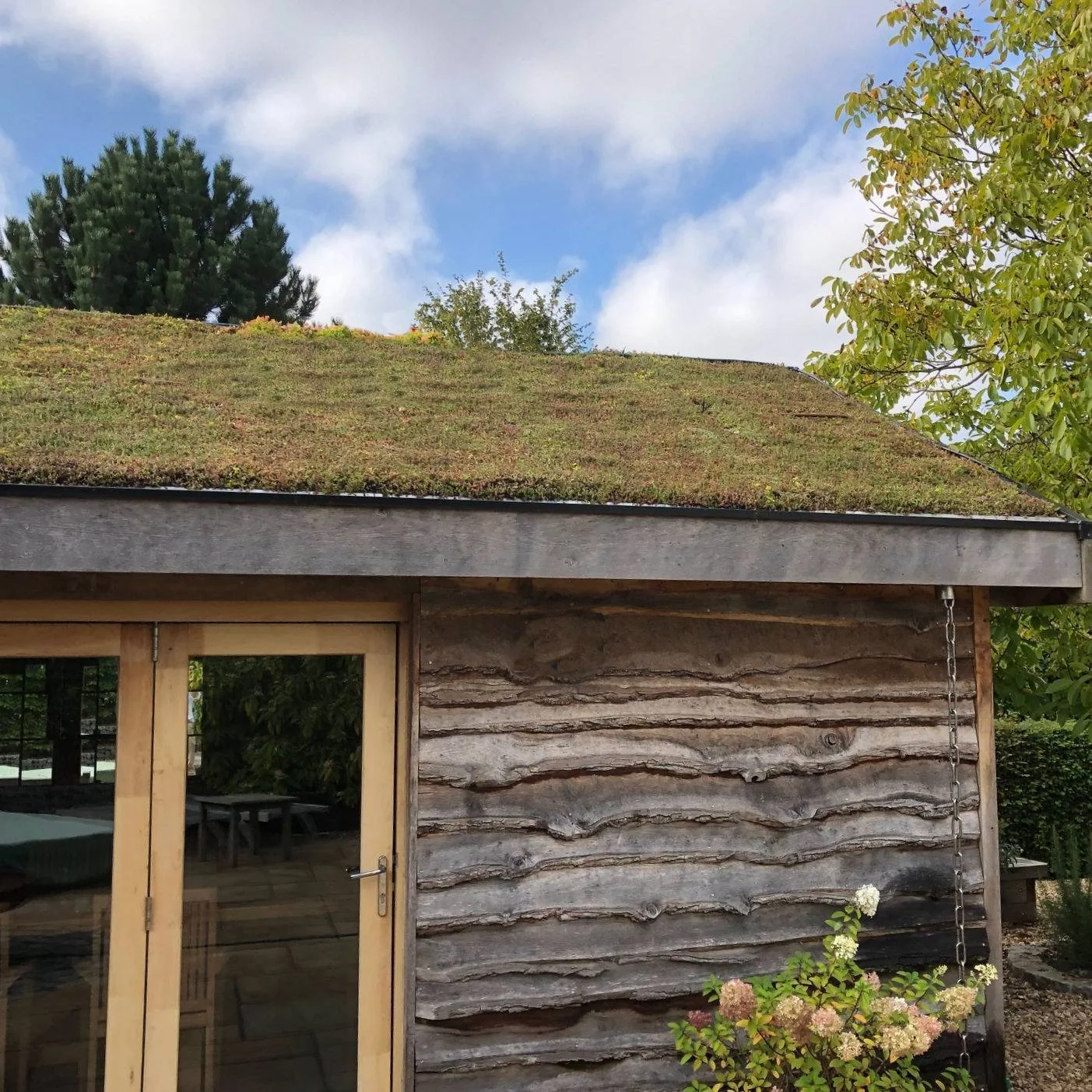 sedum-green-roof-residential_2066.jpg