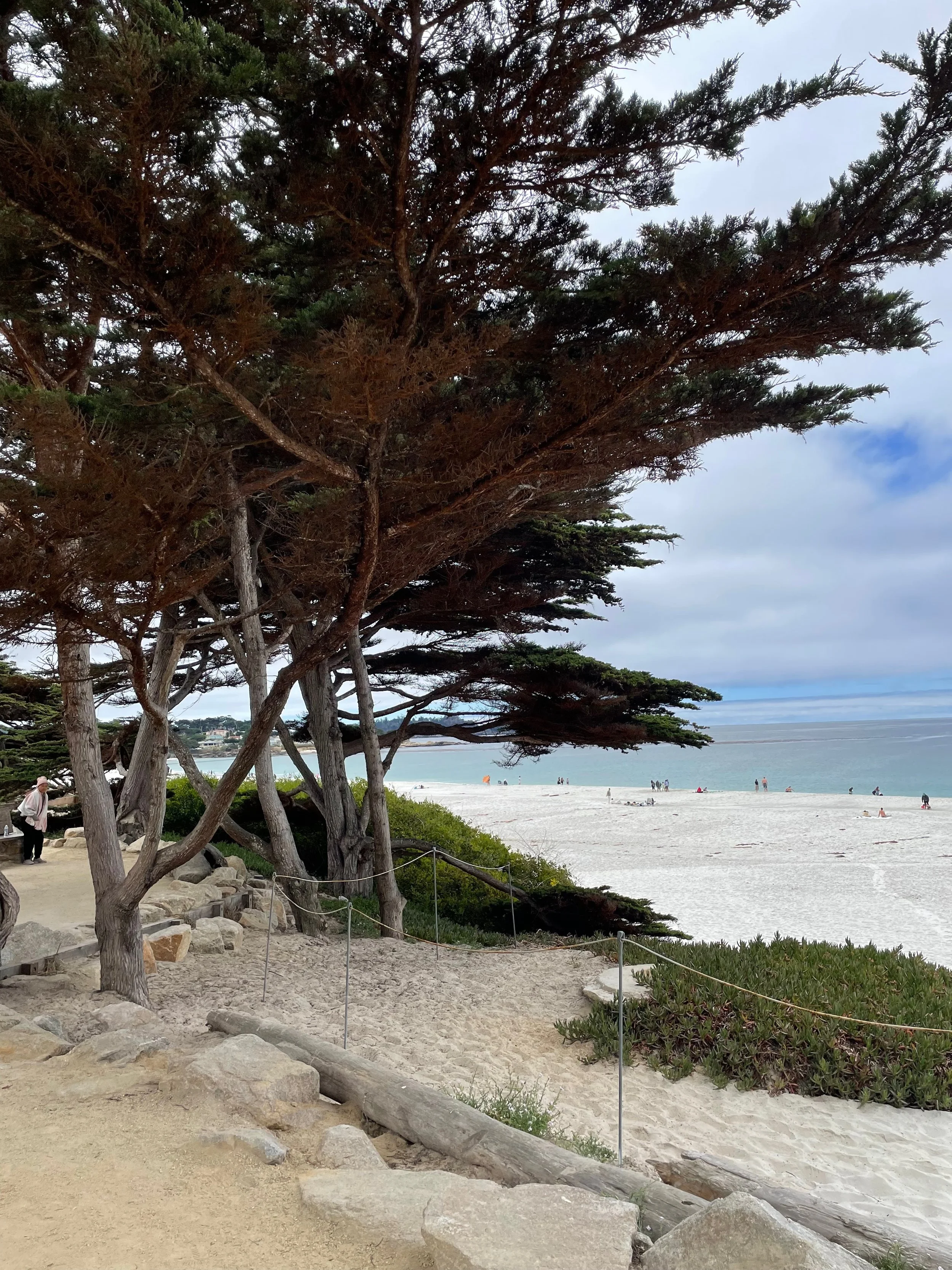 Why You Need an Arriving Practice: A Christian Mindfulness Approach to Starting Your Day