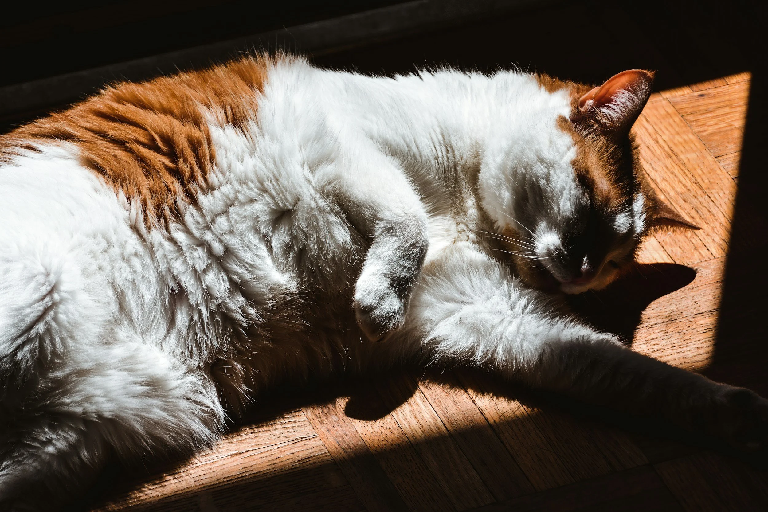 Why a Nap Schedule Is One of the Best Things You Can Do for Your Mental Health