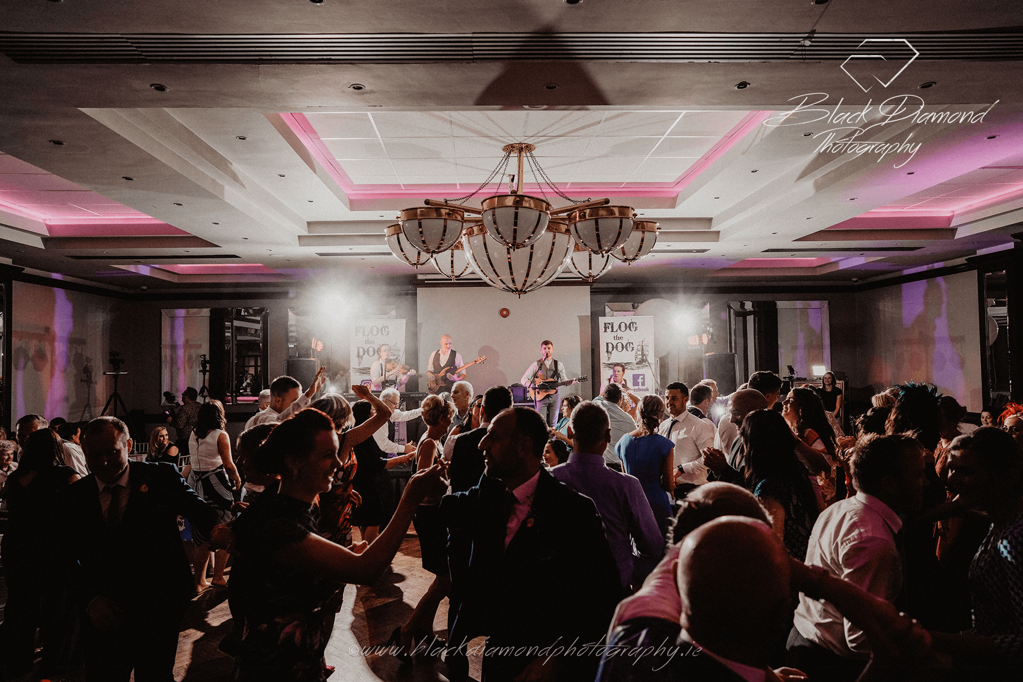 Flog the Dog - We Are Dance Floor Fillers — Trad Wedding Bands