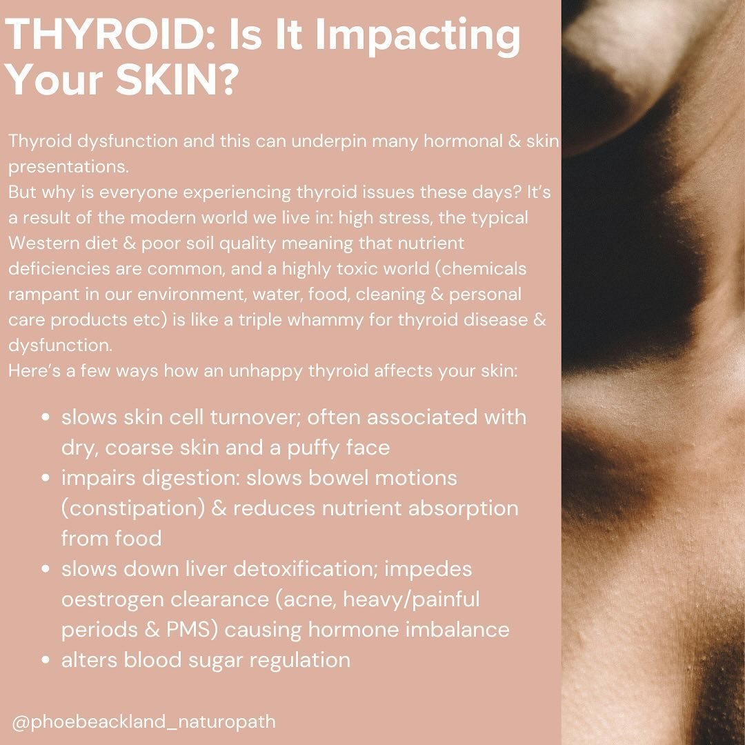The thyroid is a butterfly shaped gland in the neck that secretes hormones that regulate our body&rsquo;s metabolic processes; is has SWEEPING impacts all throughout our body
Thyroid dysfunction (typically hypothyroid &amp; Hashimotos but I also find