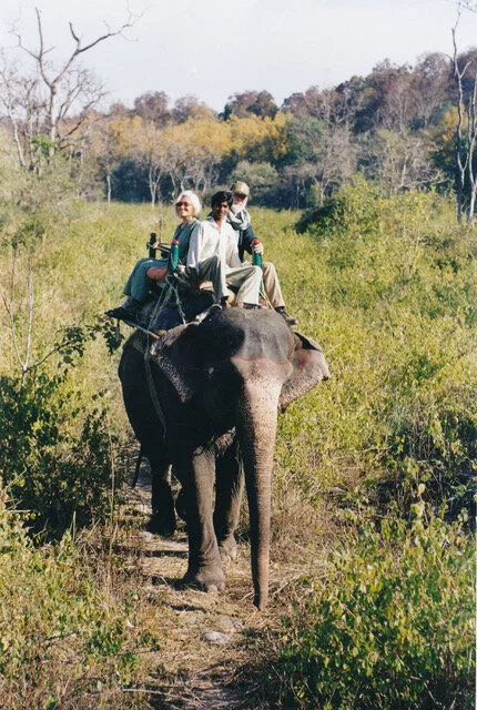 Elephant ride in Corbett Park