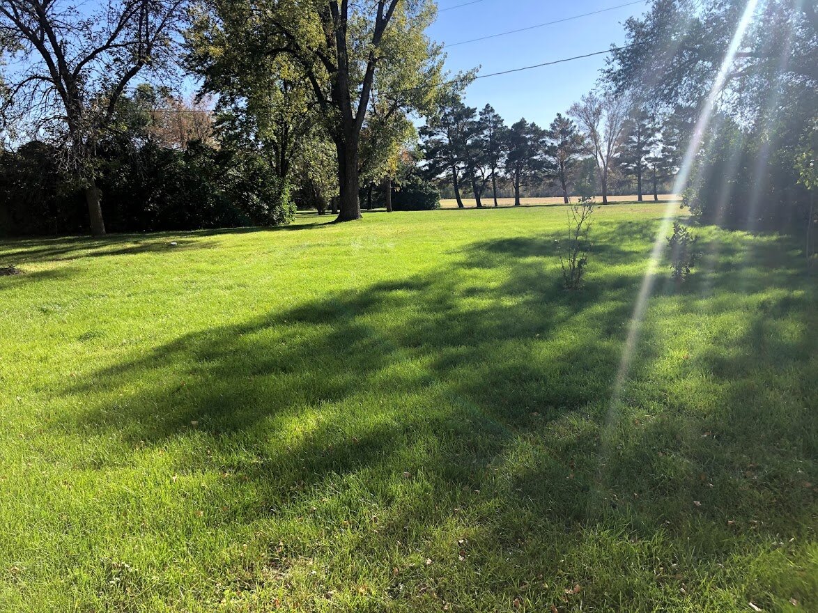 The backyard view looking south.