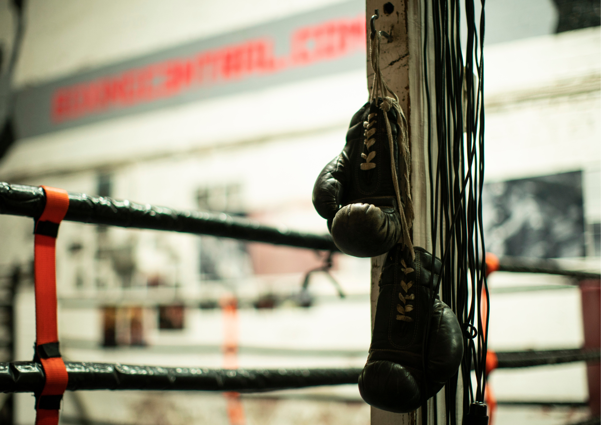 SCREENING: Left Write Hook documentary